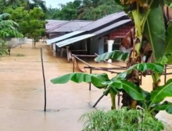 Banjir rendam dua desa Kemuning Inhil, 243 KK terdampak