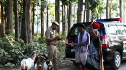 Parkir liar Padang 112 Uttar Pradesh)