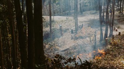 Kebakaran Hutan di Lingga Hanguskan lebih dari 1 Hektare