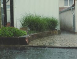 BMKG: Potensi Hujan Sedang–Lebat di Sejumlah Wilayah Sumatra Hari Ini, 5 Januari 2026