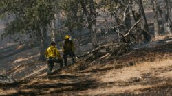 Karhutla Dumai Siak 3.25 hektare (RDNE Stock project)