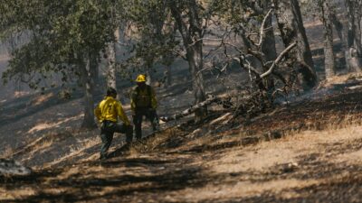 Karhutla Muncul di Riau, BNPB Catat 3,25 Hektare Terbakar di Dumai dan Siak