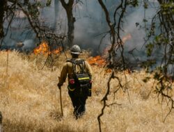 Karhutla Muncul di Siak, BNPB Laporkan 0,25 Hektare Terbakar