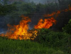 Bengkalis Tetapkan Siaga Darurat Karhutla 2026