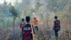 12 titik panas Sumut