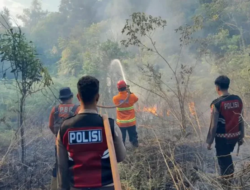 Sumut Pantau 12 Titik Panas, Warga Diminta Waspada