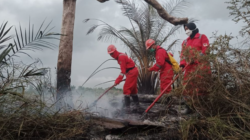 Karhutla Pelalawan (BPK RI Riau)