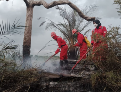 Pelalawan Masih Jadi Fokus Penanganan Karhutla