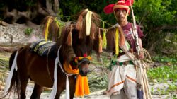 PT Chandra Daya Investasi Tbk (Bayu Prakosa)