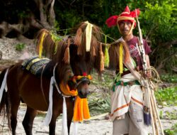 Pacu Kudo Padang Pariaman Dorong Wisata