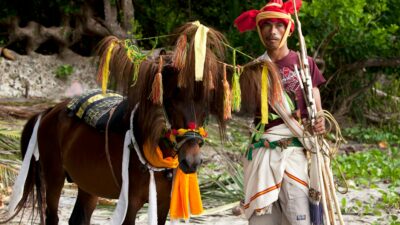 Pacu Kudo Padang Pariaman 2026 (Jeffry Surianto)