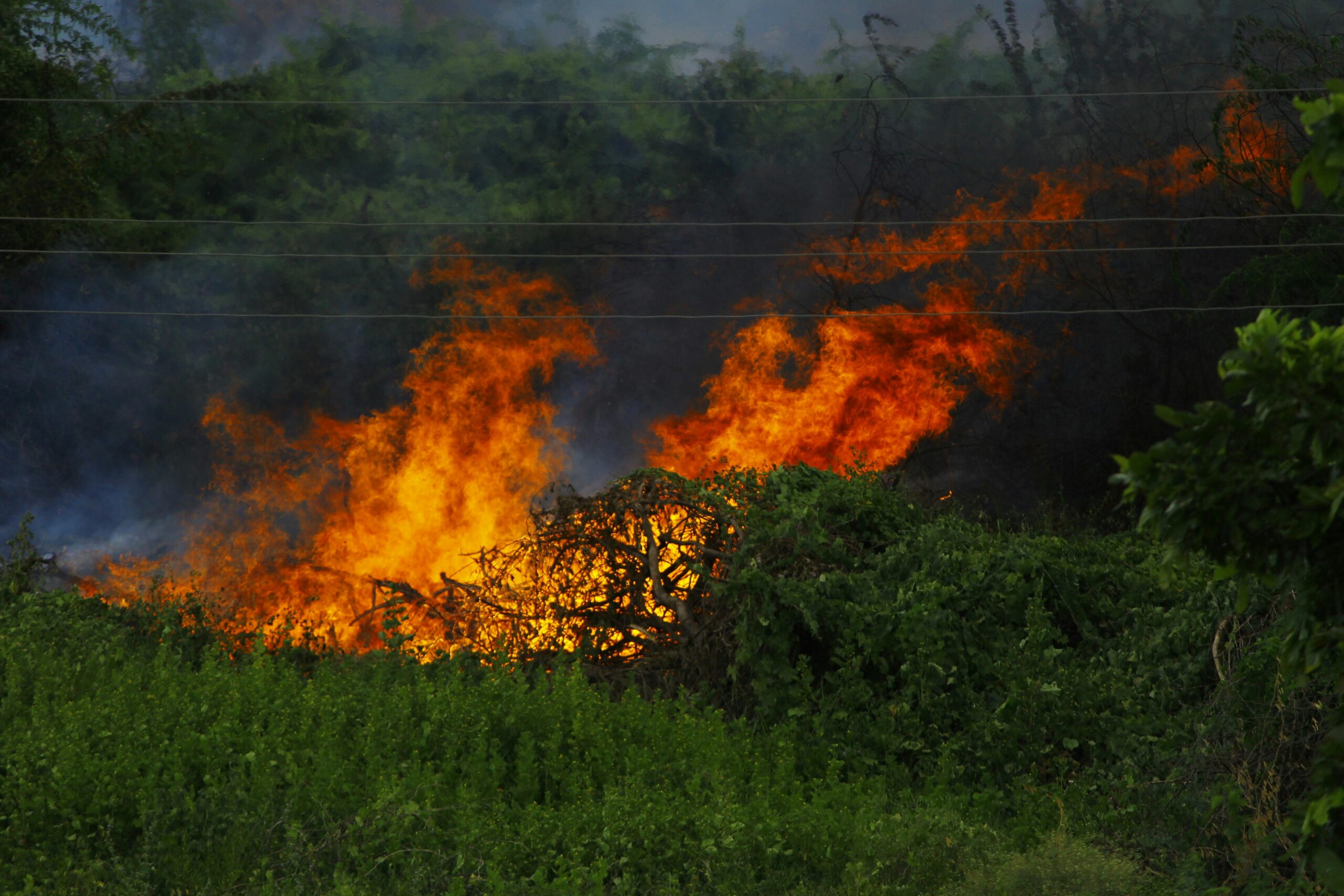Natuna tanggap darurat karhutla (Saravanan Narayanan)