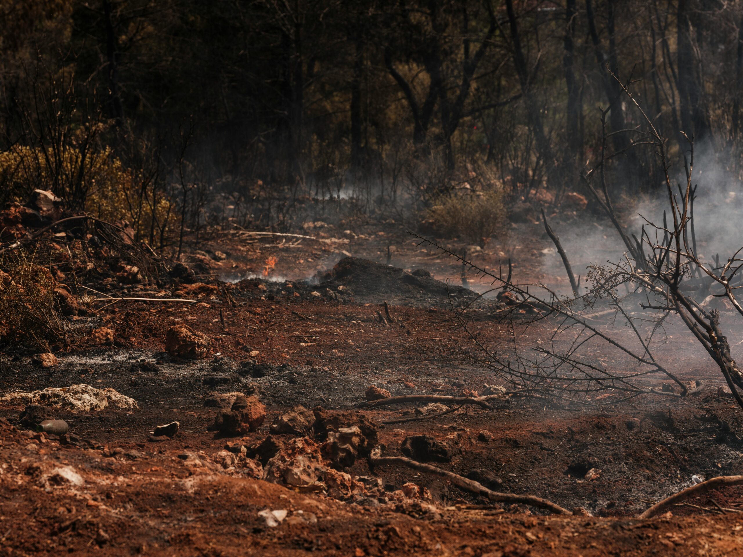 Ilustrasi karhutla (Engin Akyurt)