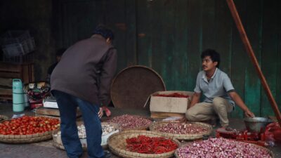 Cabai Karo (Muhammad Ilyasa)