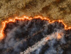 Bengkalis Waspada, 273 Titik Panas Terdeteksi