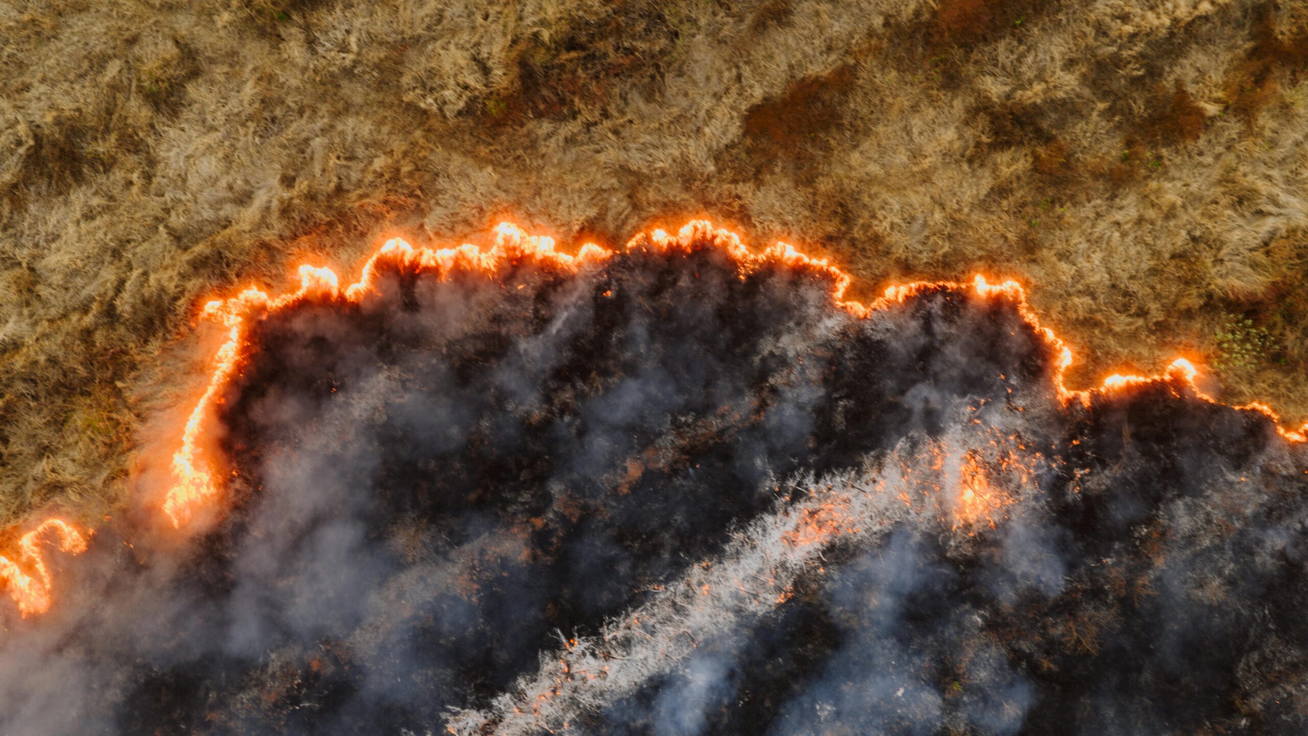 Titik panas Bengkalis (Kelly)