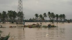 Ilustrasi luapan sungai (Long Bà Mùi)