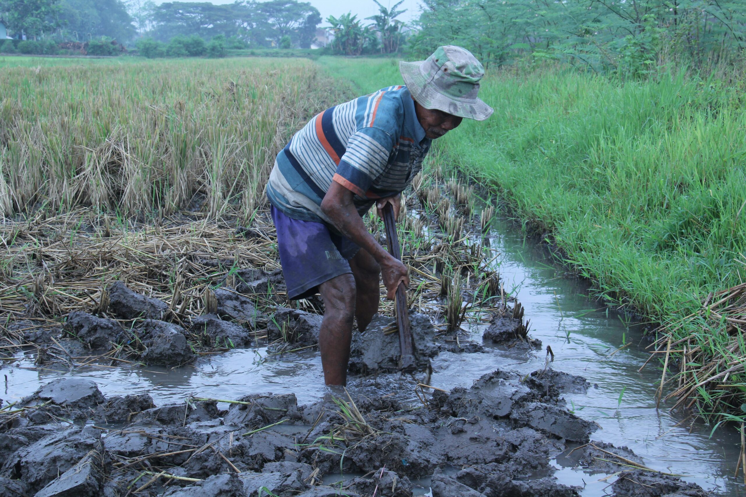 Irigasi Indonesia (sartana)
