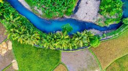 Sungai Indonesia (Tom Fisk)