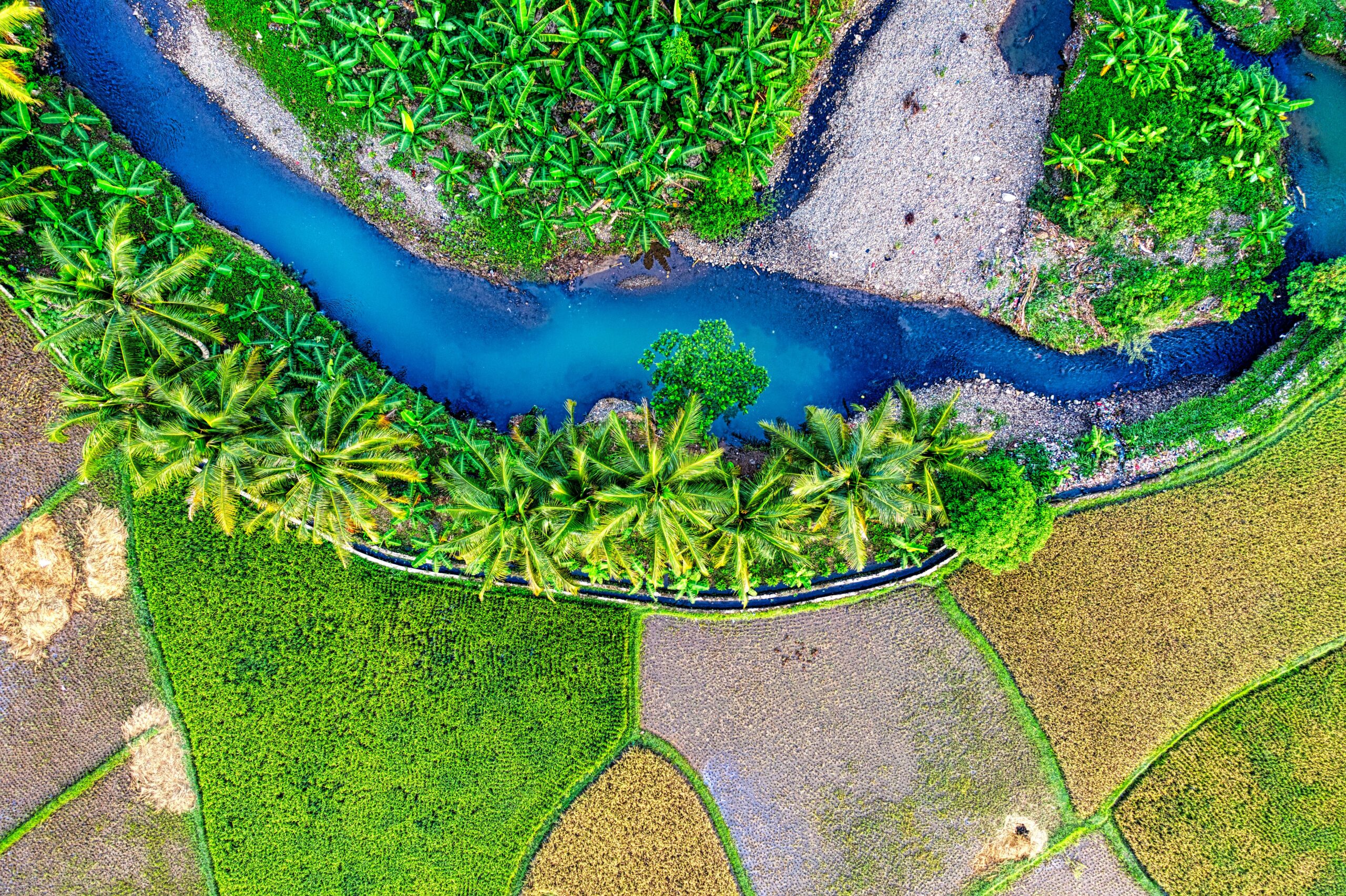 Sungai Indonesia (Tom Fisk)