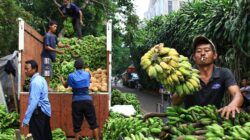 Pasar Tani (Deden R)
