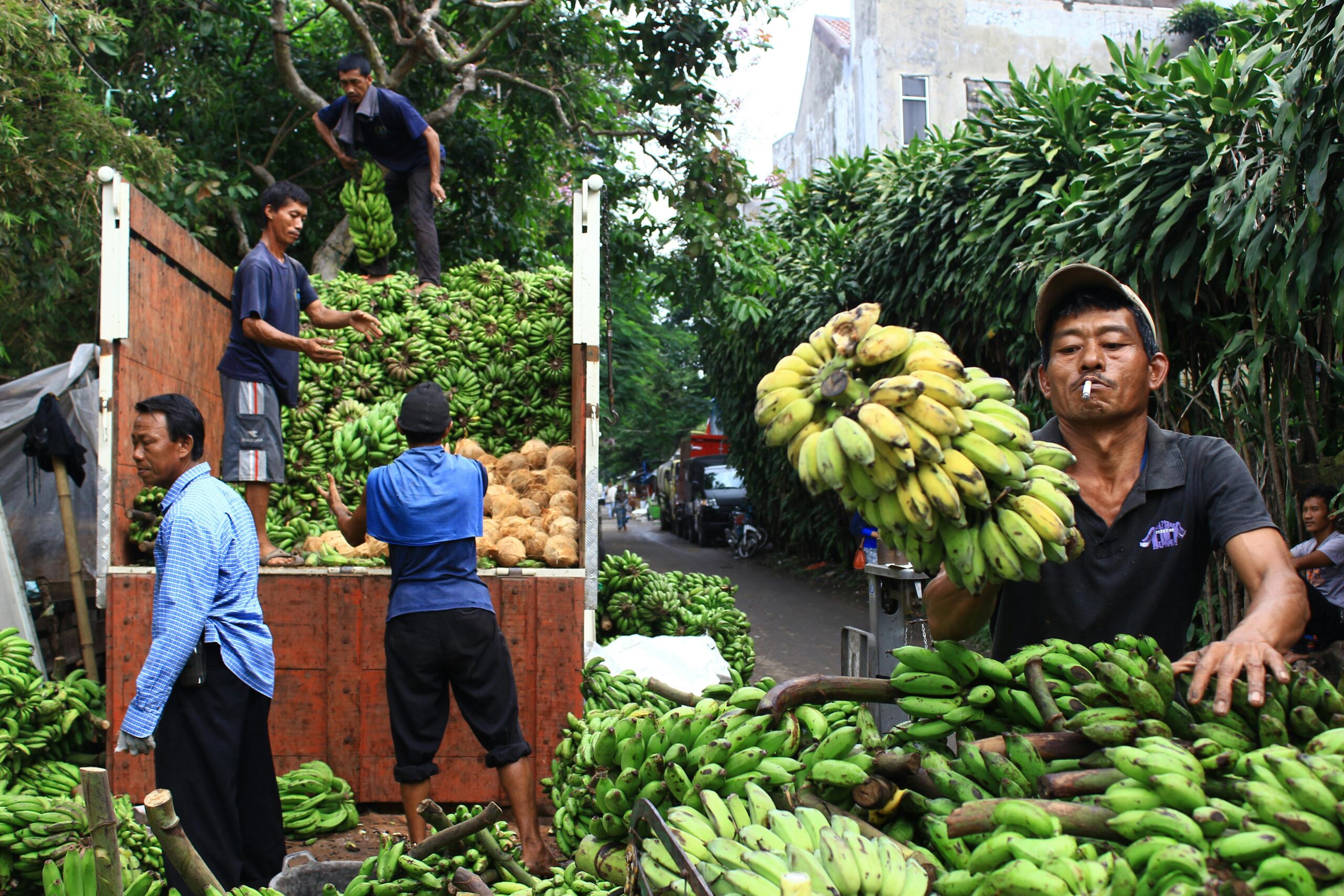 Pasar Tani (Deden R)