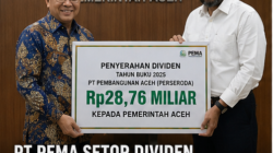 PT PEMA setor dividen
