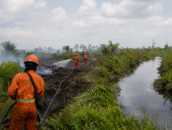 Manggala Agni Dikerahkan ke Nagan Raya, Kebakaran Gambut Ditangani dari Kanal