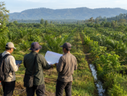 Distanbun dan BPN Perkuat Tata Kelola Perkebunan Aceh, Legalitas Kebun Jadi Perhatian