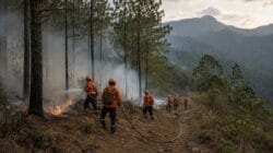 Karhutla di Aceh Besar