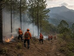 Karhutla Membakar Sekitar 20 Hektare Lahan di Dua Kecamatan Aceh Besar