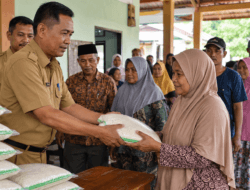Bantuan Beras untuk 33,24 Juta Keluarga Mulai Disalurkan 17 Agustus