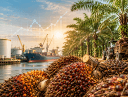 Harga Referensi CPO Agustus Turun Menjadi 996,52 Dolar AS per Ton