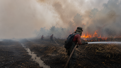 Karhutla di Muara Medak Muba Capai Sekitar 115 Hektare, Sumber Air Jadi Kendala Pemadaman