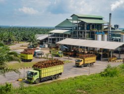 Pabrik CPO KUD Sejahtera di Musi Banyuasin Berkapasitas 45 Ton TBS per Jam