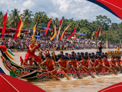 Festival Pacu Jalur 2026 Dimulai di Kuansing, 204 Perahu Berlaga di Sungai Kuantan
