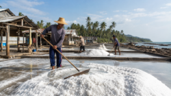 Produksi garam Pidie Aceh