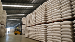 Stok beras Sumatera Selatan aman