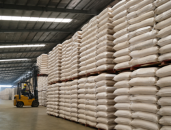 Stok Beras Sumatera Selatan Disebut Aman hingga Juli 2027, Warga Diminta Hindari Panic Buying