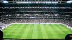 Ilustrasi lapangan sepak bola untuk berita PSMS Medan melawan Persiku Kudus