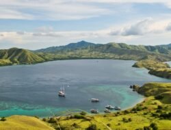 Hiu Bintang Raksasa Terdampar di Aceh Barat Daya Mati Setelah Gagal Dievakuasi