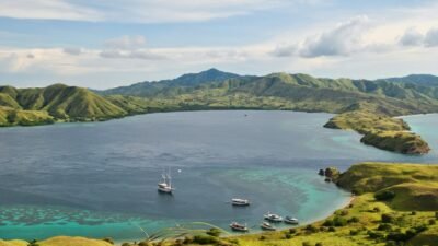 Hiu Bintang Raksasa Terdampar di Aceh Barat Daya Mati Setelah Gagal Dievakuasi