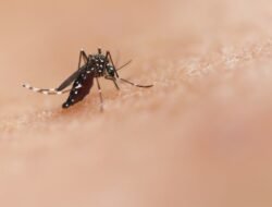 Dinkes Aceh Ingatkan Risiko DBD, Diare dan Leptospirosis saat Musim Hujan