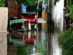542 Penyintas Banjir Bandang Solok Masih Mengungsi, BNPB Pastikan Logistik Berjalan