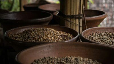 Aceh Tengah Usulkan Rumah Kopi Rp2 Miliar di Jagong Jeget pada 2027