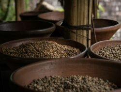 PEMA Siapkan Penguatan Bisnis Kopi dan Cold Storage untuk Pendapatan Aceh 2027