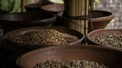 PEMA Siapkan Penguatan Bisnis Kopi dan Cold Storage untuk Pendapatan Aceh 2027