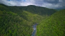 Ilustrasi sungai dan hutan di kawasan hulu DAS, bukan foto DAS Kuranji Padang