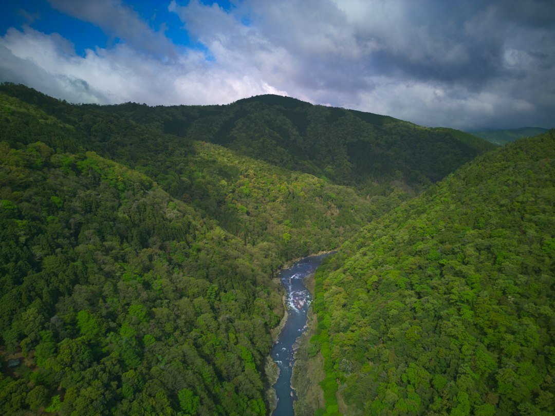 Ilustrasi sungai dan hutan di kawasan hulu DAS, bukan foto DAS Kuranji Padang