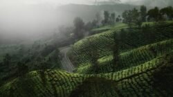 Ilustrasi jalan berkelok di kawasan pegunungan